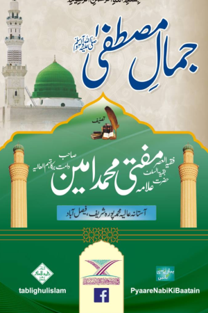 Jamal e Mustafa