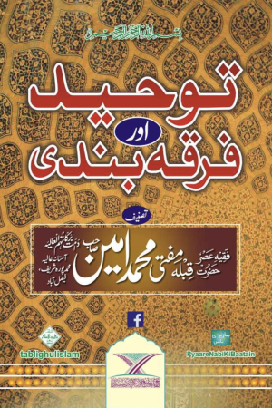 Touheed or Firqa Bandi